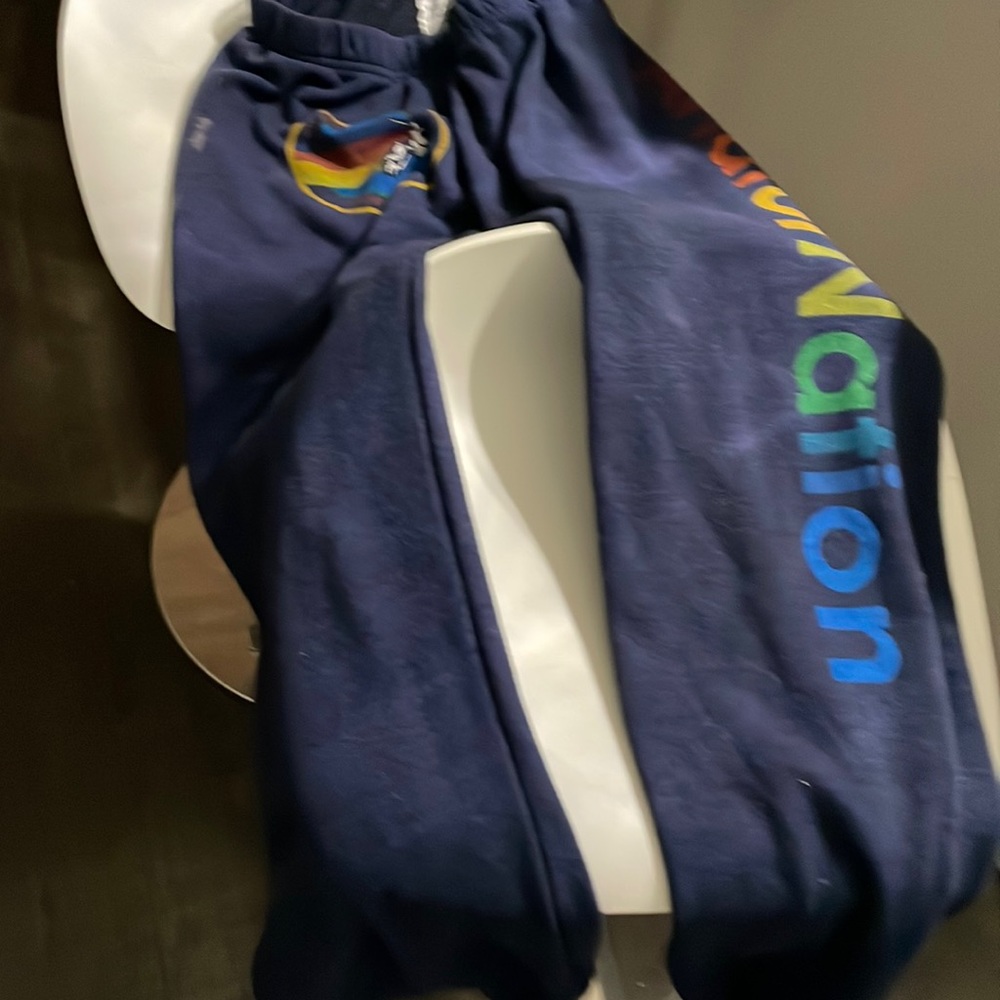 Aviator Nation large blue sweat pants. Has a stain.